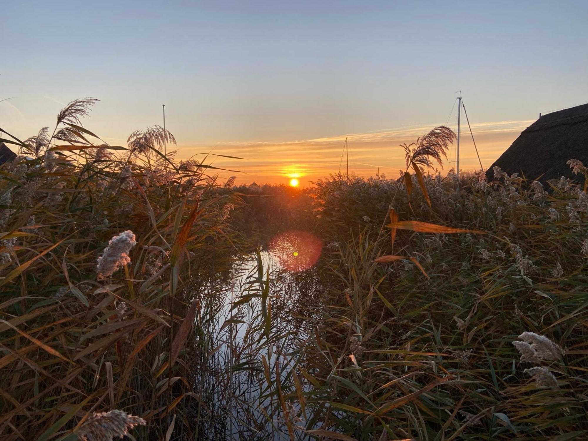 Seehuette Neusiedlersee - Pfahlbau Waterfront 1 Rust Εξωτερικό φωτογραφία